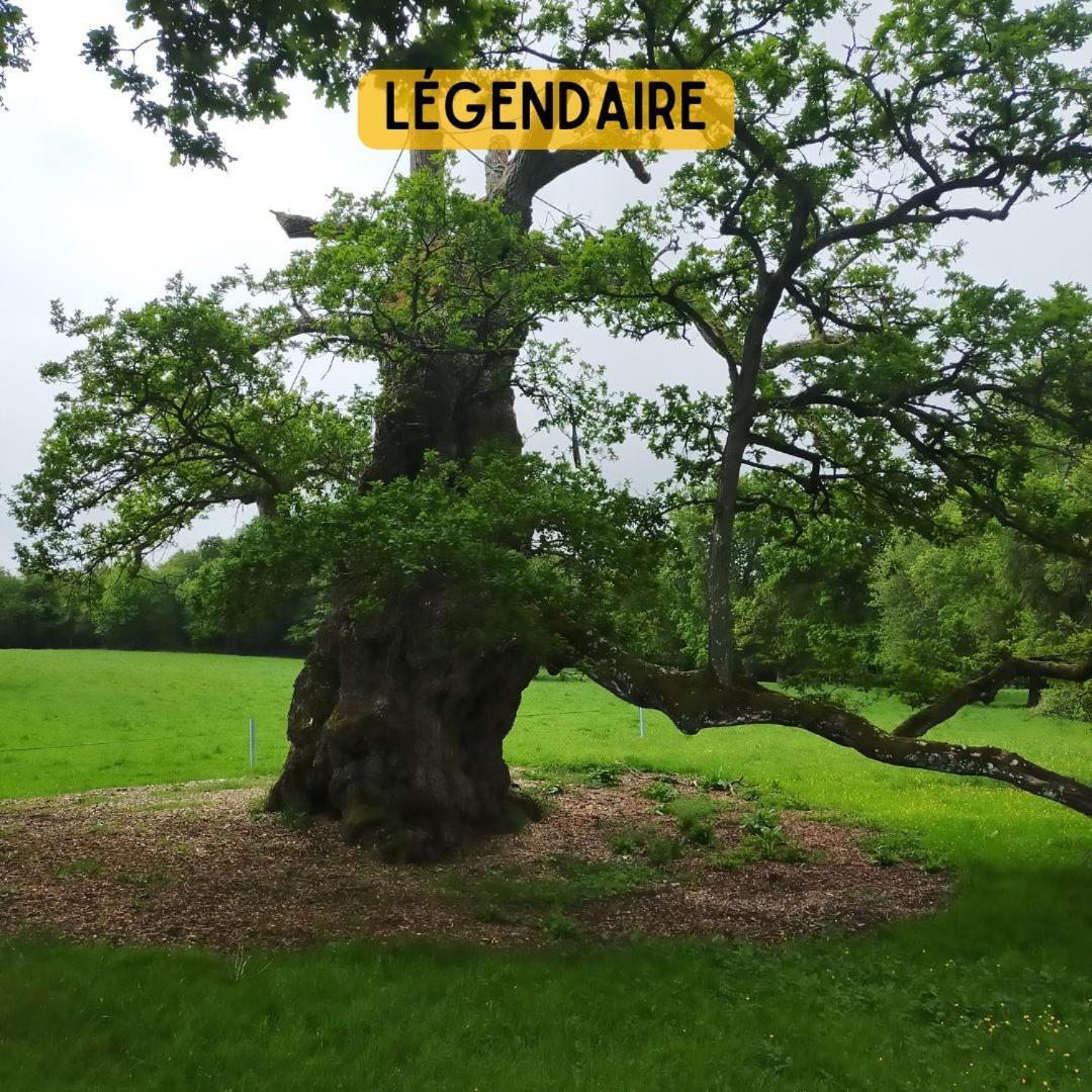 Camping Le Val Aux Fees - Broceliande Concoret Esterno foto